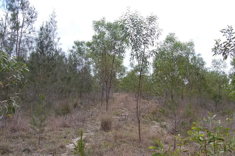Fourth view of Homely rural property listing, Old Tenterfield Road, CAMIRA CREEK via, Camira NSW 2469