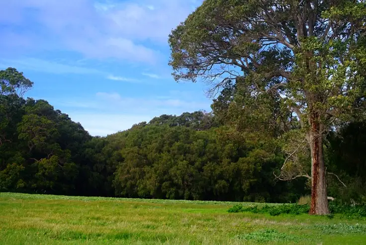 Second view of Homely land listing, 215/744 Burnside Park, Margaret River WA 6285