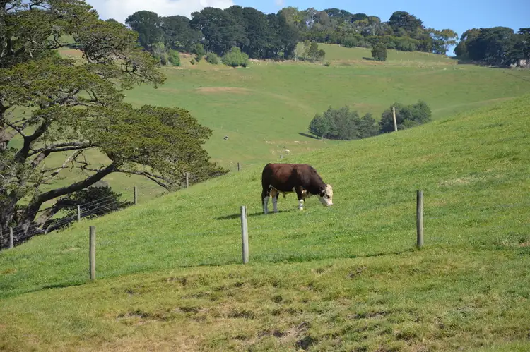 Third view of Homely rural property listing, . Newtons Road, Korumburra VIC 3950
