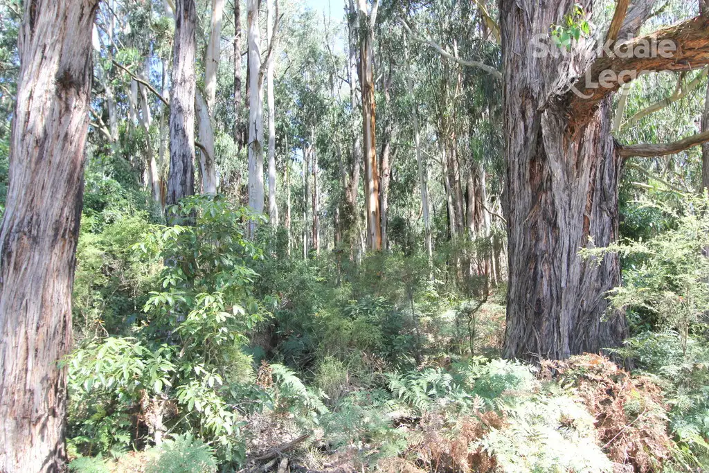 Main view of Homely land listing, 124 Markleys Road, Mirboo North VIC 3871