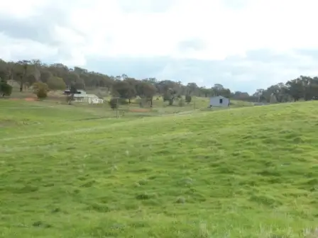 699 Taylors Flat Road, Boorowa NSW 2586