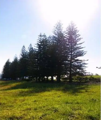 Fourth view of Homely land listing, 40 Sunnycrest Dr, Terranora NSW 2486