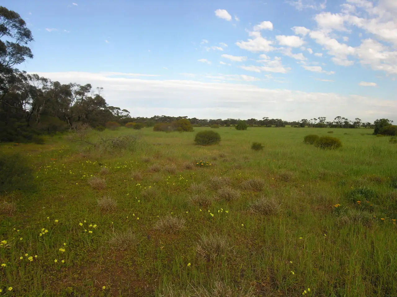 Main view of Homely land listing, Sec 530 Gory Road, Owen SA 5460
