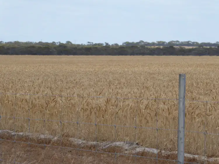 Fifth view of Homely rural property listing, 745 FITZGERALD ROAD, Ravensthorpe WA 6346