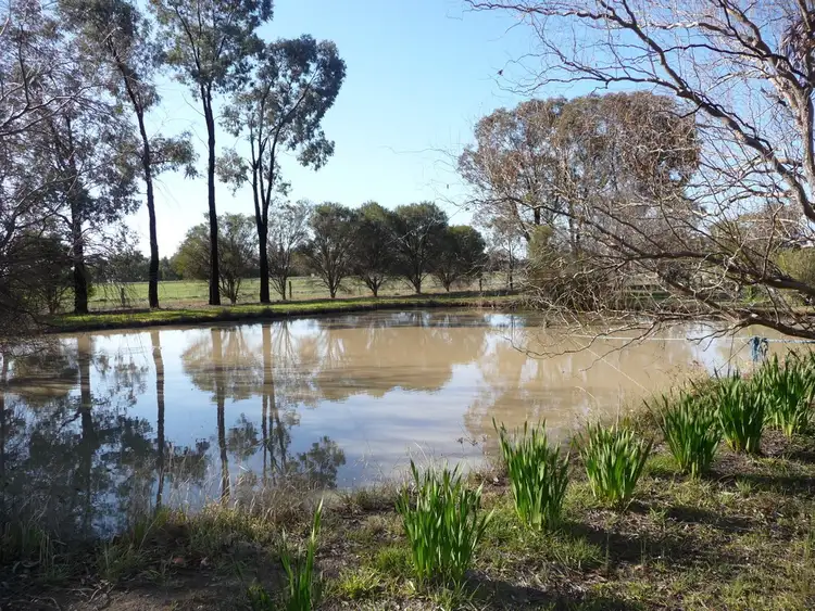 Third view of Homely house listing, 18 Echuca-Mitiamo Rd, Echuca VIC 3564