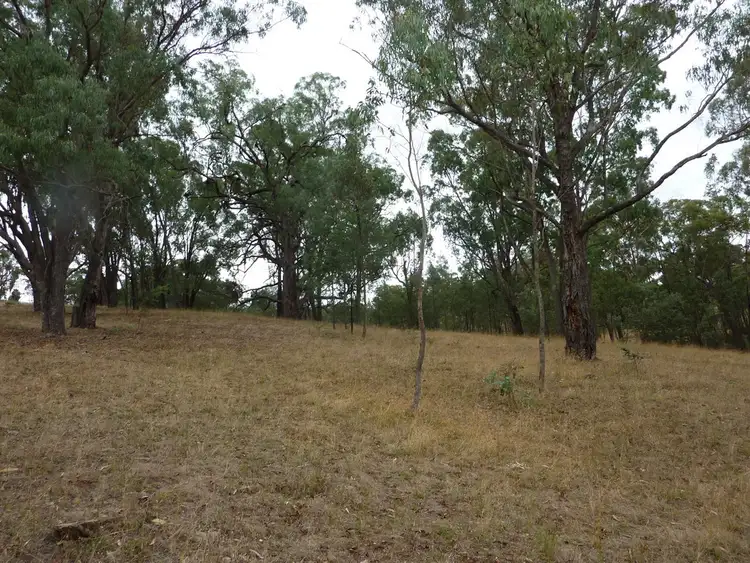 Sixth view of Homely rural property listing, 1150 Carabost Road, Humula NSW 2652