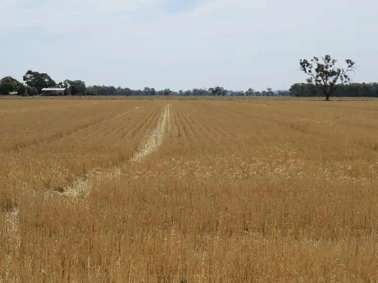 Sixth view of Homely rural property listing, 178 Bull Plain Road, Mulwala NSW 2647