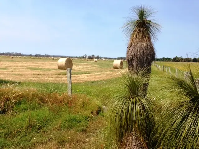 Third view of Homely rural property listing, Lot 3172 Glendon Road, Ludlow WA 6280