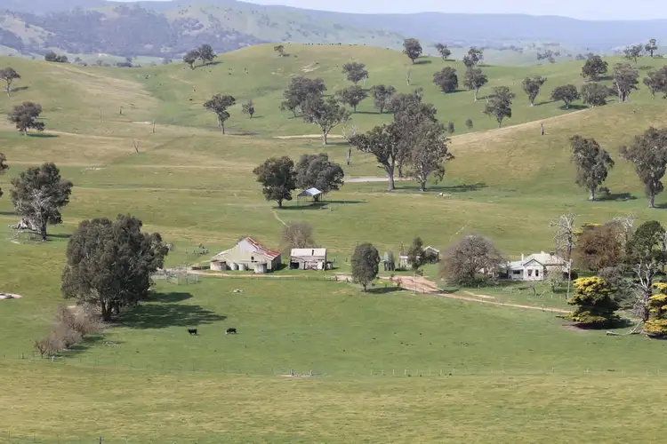 161 Williamsons Road, Killingworth VIC 3717