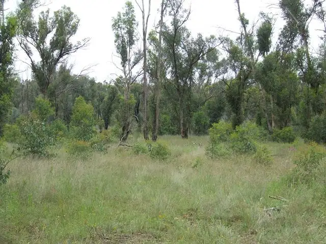 Main view of Homely land listing, 2906 Thunderbolts Way, Inverell NSW 2360
