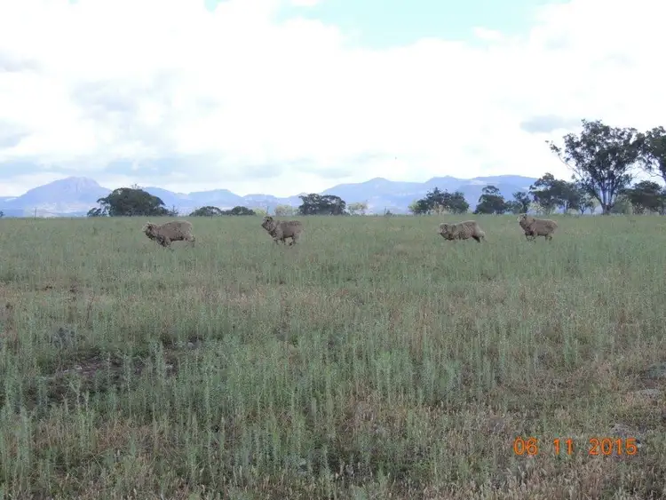 Seventh view of Homely rural property listing, Lot 512 "Max-Well-A", Coonabarabran NSW 2357