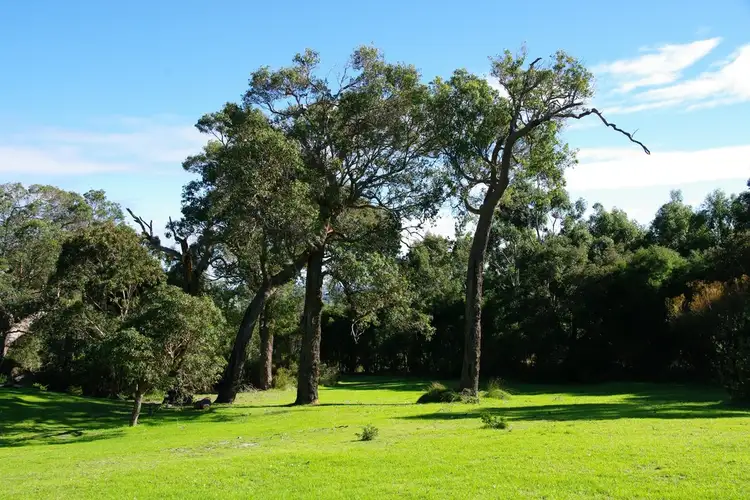 Fifth view of Homely house listing, 8 Killini Rd, Kronkup WA 6330