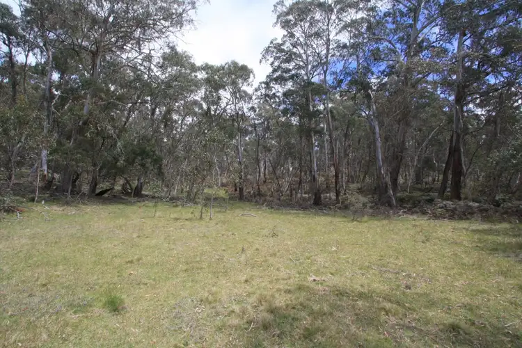 Second view of Homely rural property listing, 345 Kybeyan Road, Nimmitabel NSW 2631