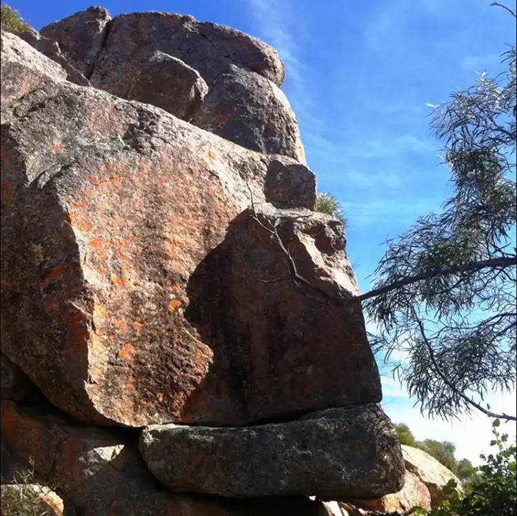 Sixth view of Homely rural property listing, 239 Cypress Drive, Mudgee NSW 2850