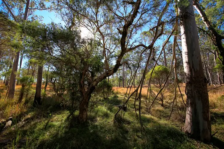 Fifth view of Homely rural property listing, Lot 5 Hampton Road, Waterview Heights NSW 2460