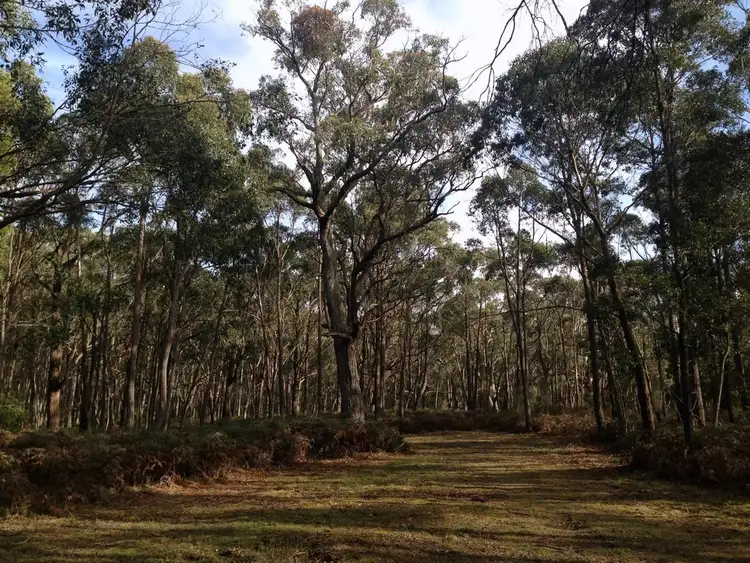 Seventh view of Homely land listing, Lot 4 CA9 Nashs Road, Scotsburn VIC 3352