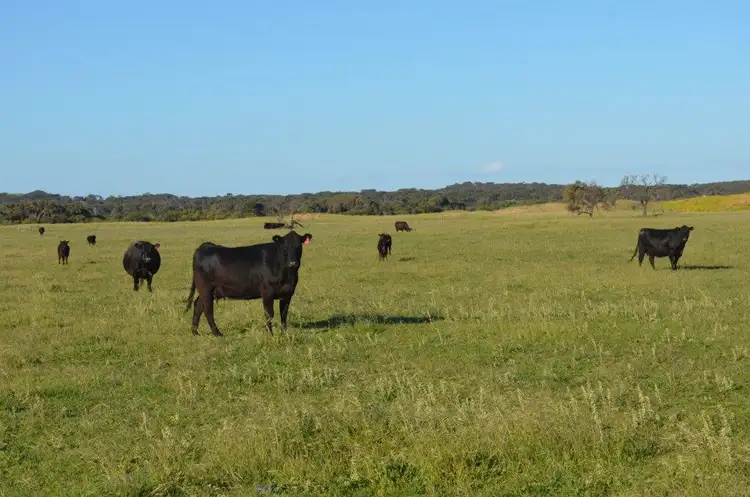 Sixth view of Homely rural property listing, Lot 10 Bog Lane, Robe SA 5276