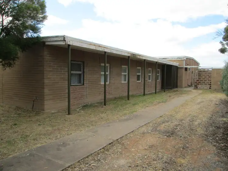 Main view of Homely house listing, 24 Cooke Terrace, Tailem Bend SA 5260