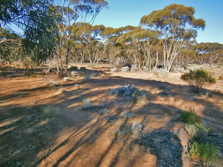 Main view of Homely rural property listing, Lot 252 Twill Road, Morgan SA 5320