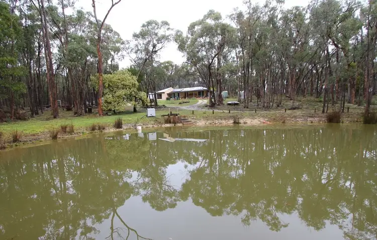 59 Woodland Drive, Scarsdale VIC 3351