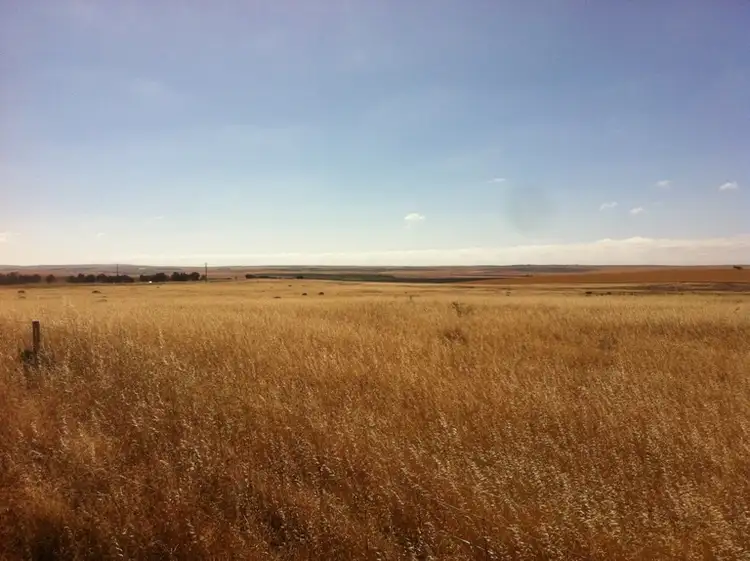Third view of Homely land listing, 296 Yarandale Rd, Lipson SA 5607