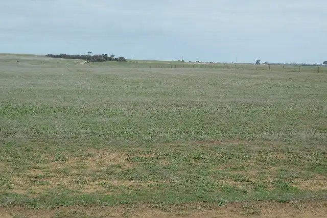 Second view of Homely rural property listing, South Booran Road, Merredin WA 6415