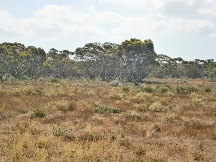 Main view of Homely rural property listing, 13 Sturt highway, Blanchetown SA 5357