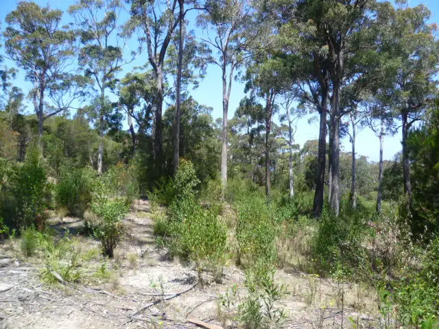 Third view of Homely land listing, Lot 12 Emerald Crescent, Wallagoot NSW 2550