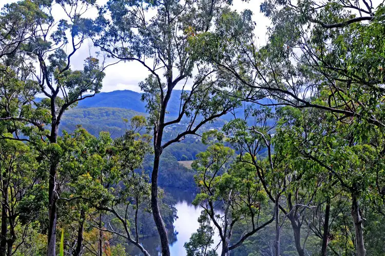 Second view of Homely rural property listing, Lot 2 Grass Tree Way, Kendall NSW 2439