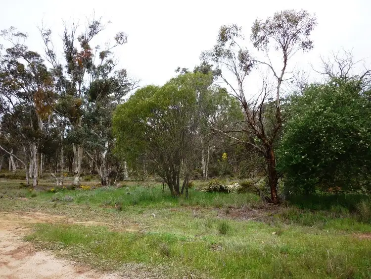 Fourth view of Homely house listing, 59 Leathley Street, Broomehill WA 6318