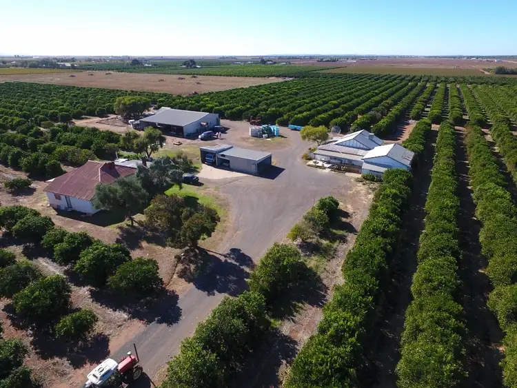 Farm 79 Murray Road, Yoogali NSW 2680