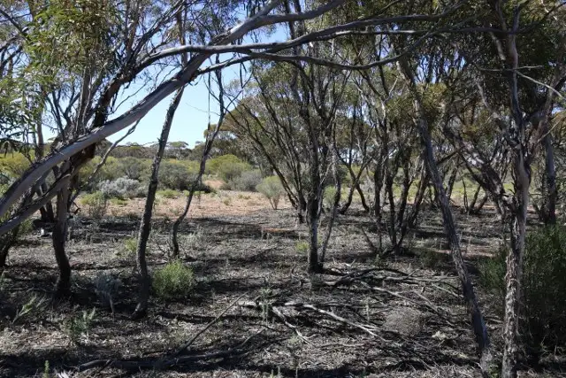 Third view of Homely land listing, Lot 10 Winter Road, Bower SA 5374