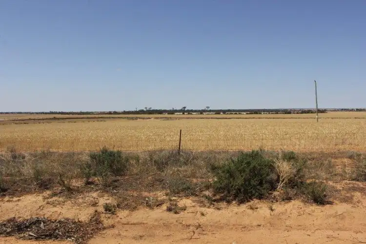 Fourth view of Homely house listing, Lot 14 Korbrelkulling Road, Hines Hill WA 6413