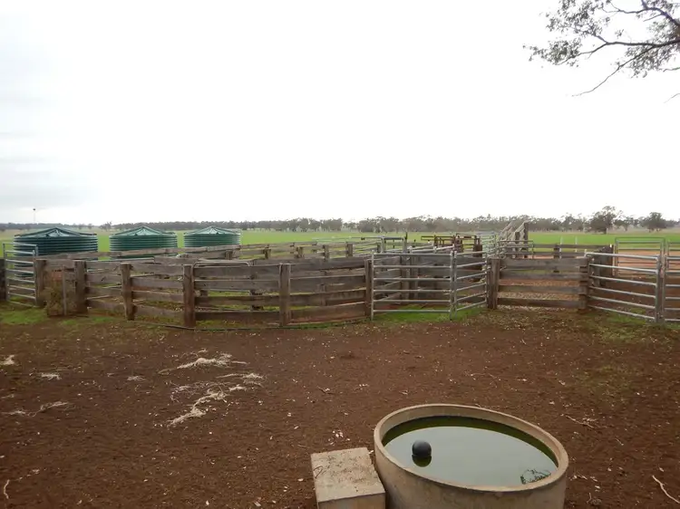 Seventh view of Homely rural property listing, 2097 Burraway Road, Narromine NSW 2821