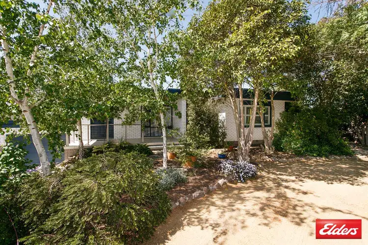 Fifth view of Homely house listing, 17 Hensman Street, Latham ACT 2615