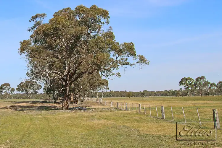 Second view of Homely rural property listing, 301 Hawkins Lane, Longlea VIC 3551