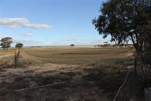 Fifth view of Homely rural property listing, Lot 126 Hughes Road, Merredin WA 6415