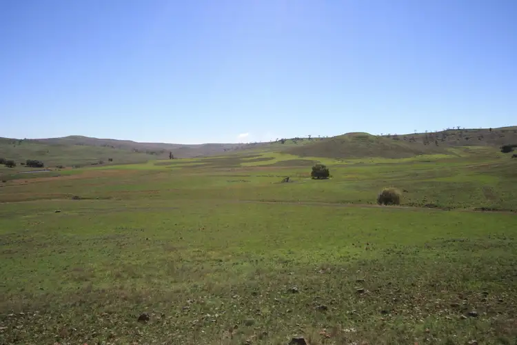 Sixth view of Homely rural property listing, 'ROCKYBAH' Springfield Rd, Nimmitabel NSW 2631