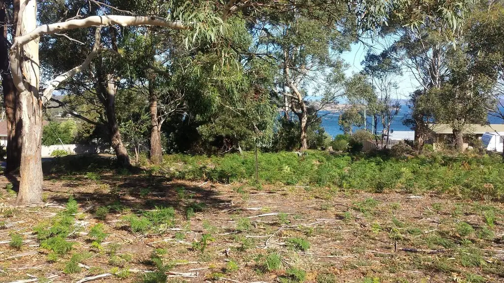 Main view of Homely land listing, 10 Falcon Street, Primrose Sands TAS 7173