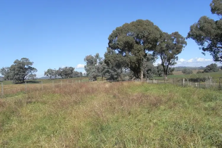 Fifth view of Homely rural property listing, 907 Darbys Falls Road, Cowra NSW 2794