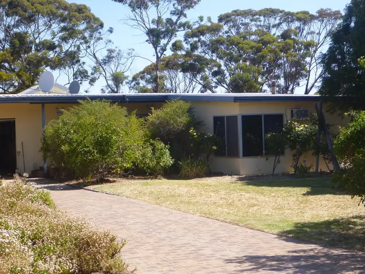Main view of Homely house listing, 6 Elliott, Lake Grace WA 6353