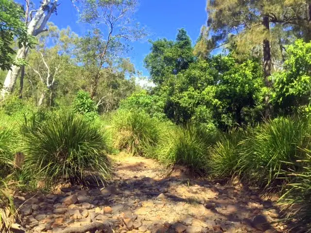 Seventh view of Homely land listing, lot 41 Creevey Drive, Captain Creek QLD 4677