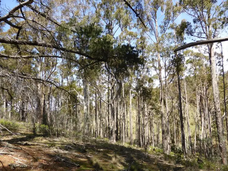 Fifth view of Homely land listing, 232 Rabbit Hill Road, Colebrook TAS 7027