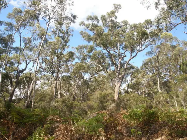 Third view of Homely land listing, Lot 2 Skeggs Ave, White Beach TAS 7184