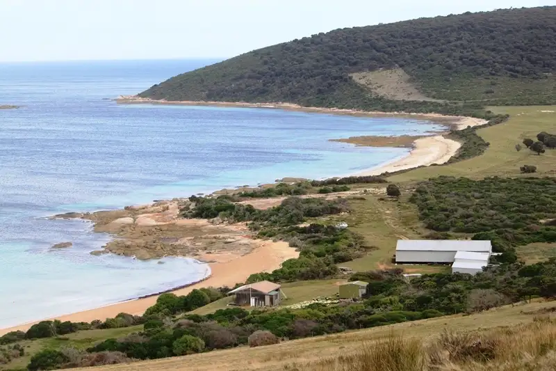 Main view of Homely rural property listing, . Prime Seal Island (Bass Strait), Flinders Island TAS 7255