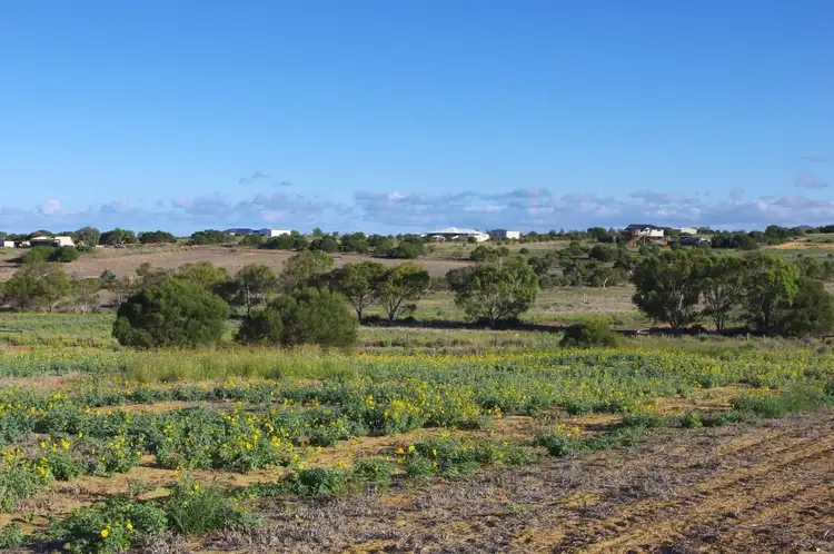 Fifth view of Homely land listing, Lot 6 Stirling Place, Waggrakine WA 6530
