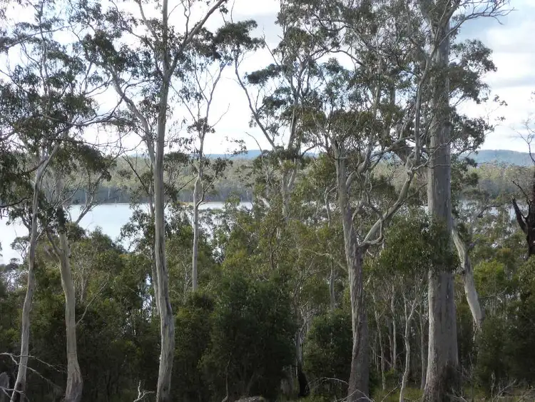 Fourth view of Homely rural property listing, . Chock-N-Log Bay, Lake Leake TAS 7210