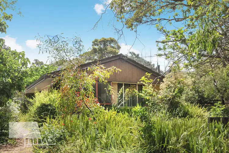 22 North Street, Dunsborough WA 6281