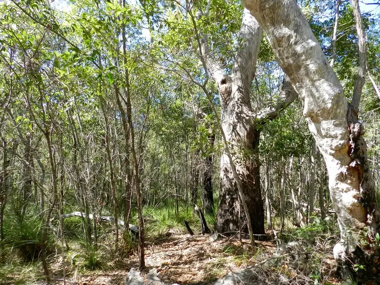 Second view of Homely land listing, Lot 6 Bootmaker Drive, Round Hill QLD 4677