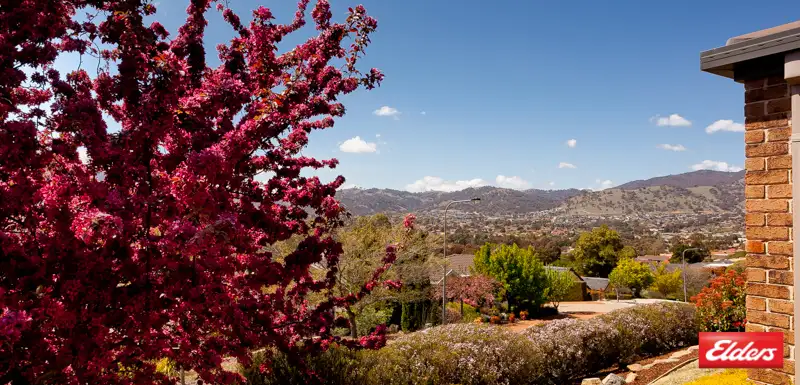 Main view of Homely house listing, 11 Favell Place, Gordon ACT 2906